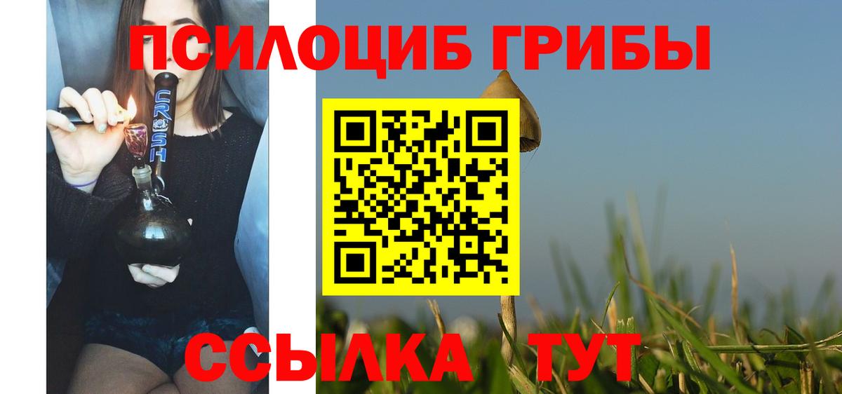 Белебей  цены   Вход с VPN  Псилоцибиновые грибы Magic Shrooms 